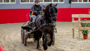 Hengstenkeuring 2023